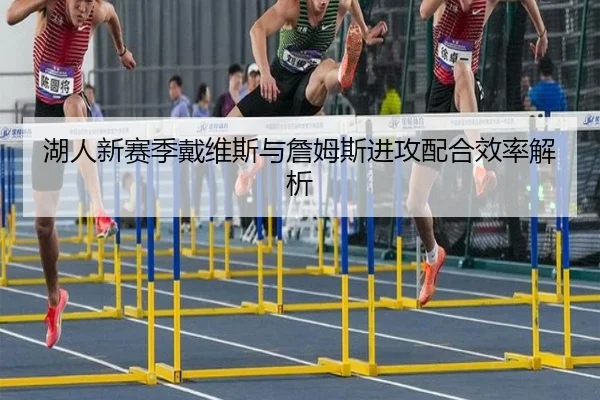 湖人新赛季戴维斯与詹姆斯进攻配合效率解析